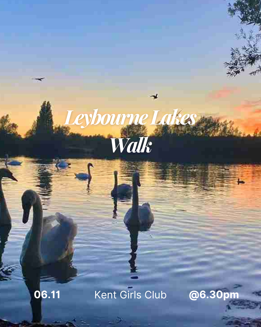 🌙✨ EVENING WALK AT LEYBOURNE LAKES!